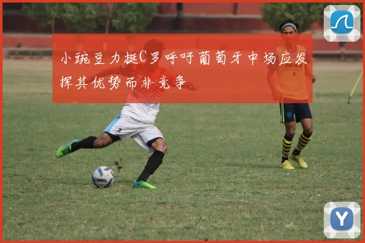 小豌豆力挺C罗呼吁葡萄牙中场应发挥其优势而非竞争