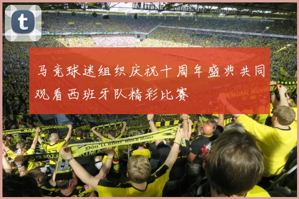马竞球迷组织庆祝十周年盛典共同观看西班牙队精彩比赛